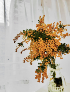ミモザの花